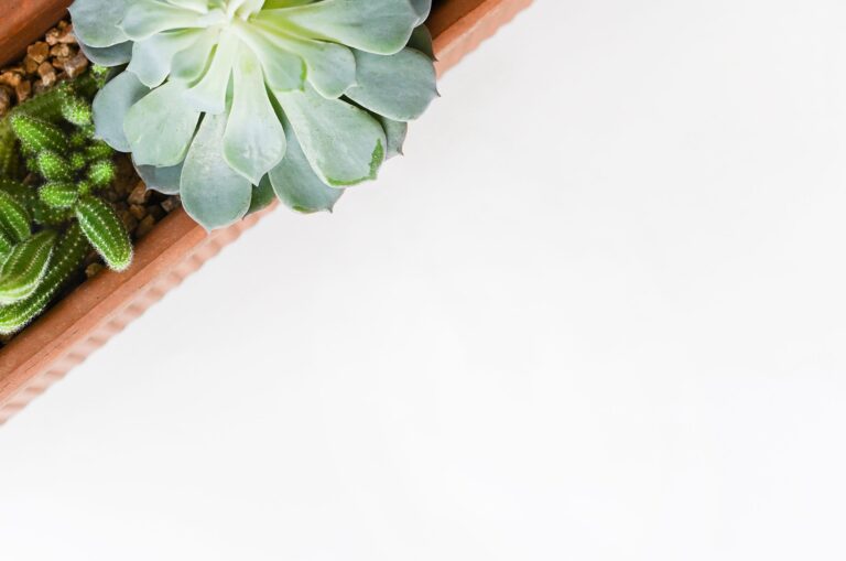 2 easy ways to automate your email