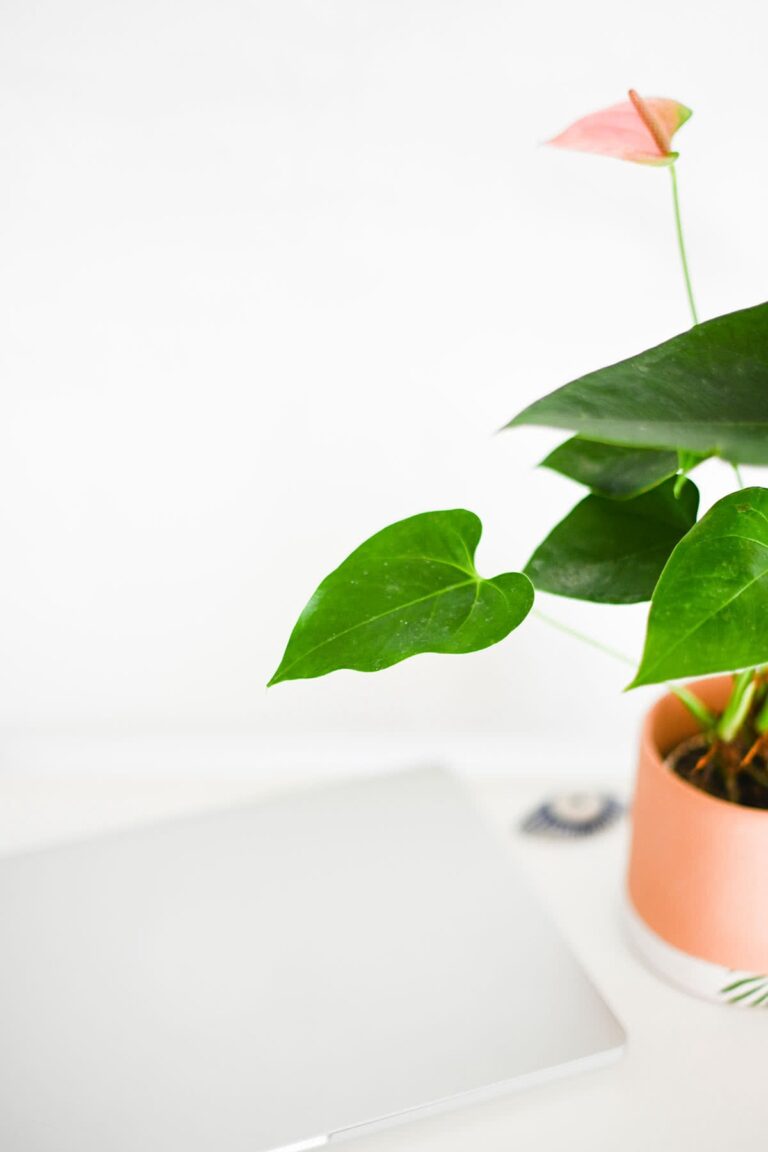 The backstage pass to my awhaw moment