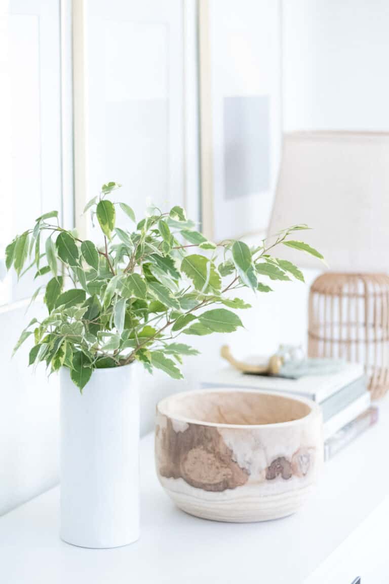 Unlock Your Content Creation Potential With These Must-Have Tools